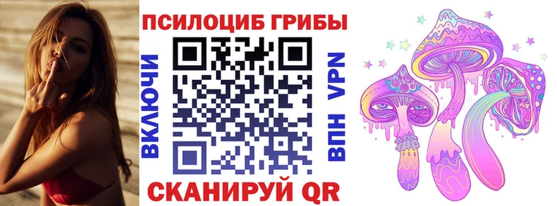 Псилоцибиновые грибы GOLDEN TEACHER  Наволоки 